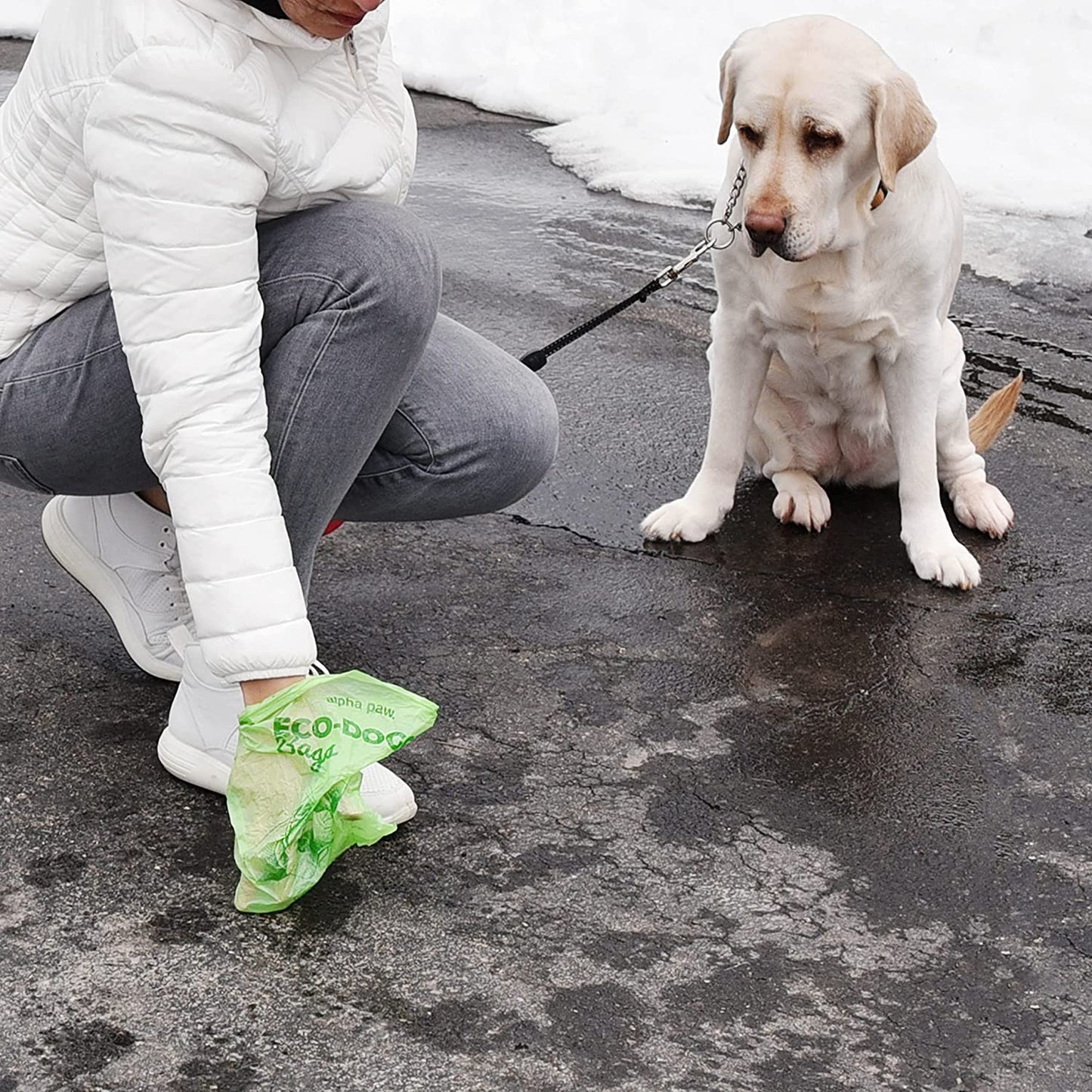 Alpha Paw Eco-Doggy Bags & Portable Dispenser - 60 Odor-Blocking, Biodegradable Poop Bags for Dogs - Scented Dog Poop Bags - Lavender-Scented Poop Bags - Compostable Dog Waste Bags - Puppy Accessories