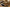 Are Boutique Pet Stores Worth It in 2026
