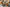 Pet Subscription Boxes – Best Picks for Pet Owners in 2026