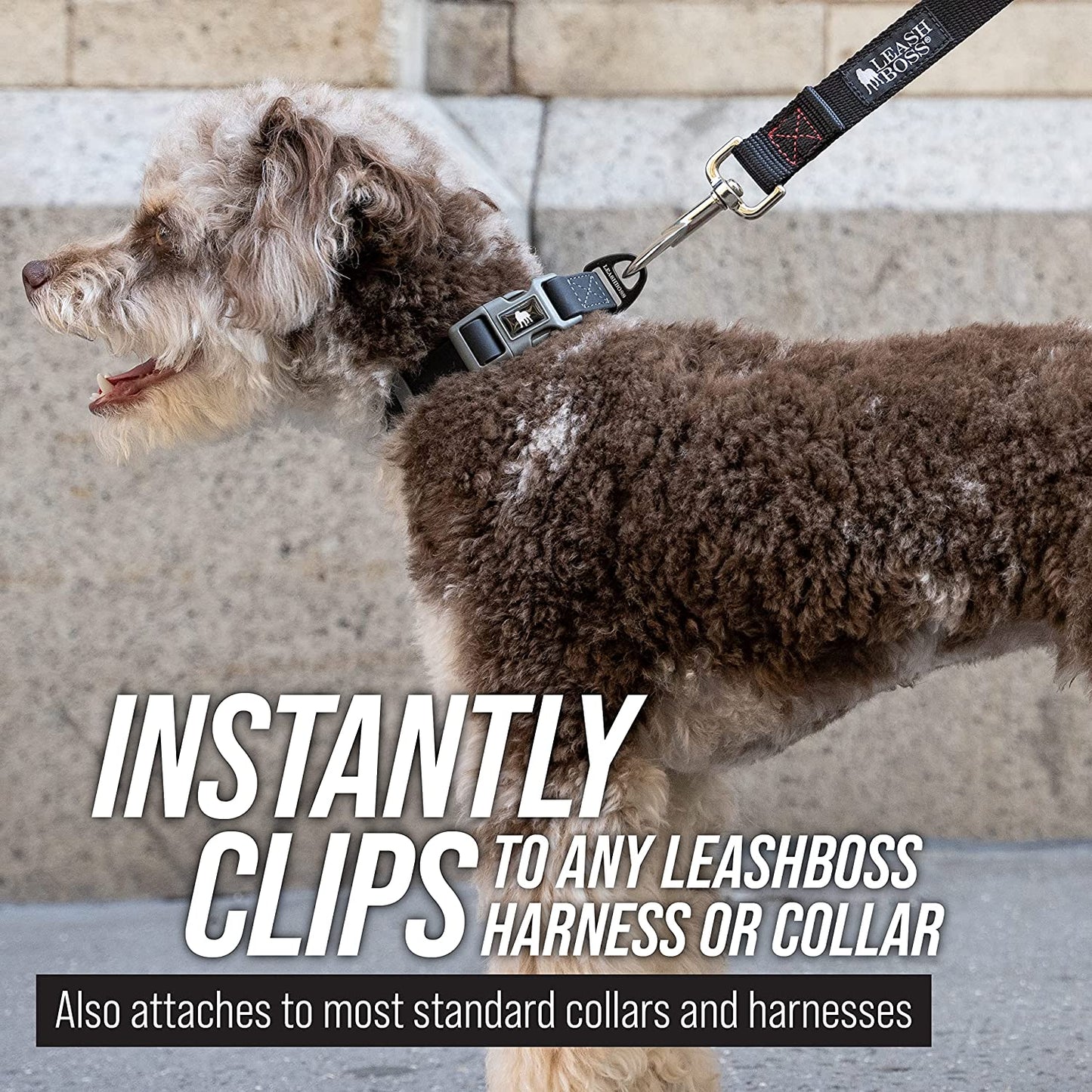 Leash Boss Free Range - Long Dog Leash for Large Dogs + Drawstring Backpack - 1 Inch Nylon Training Lead with Padded Handle (Black) (30 Ft)