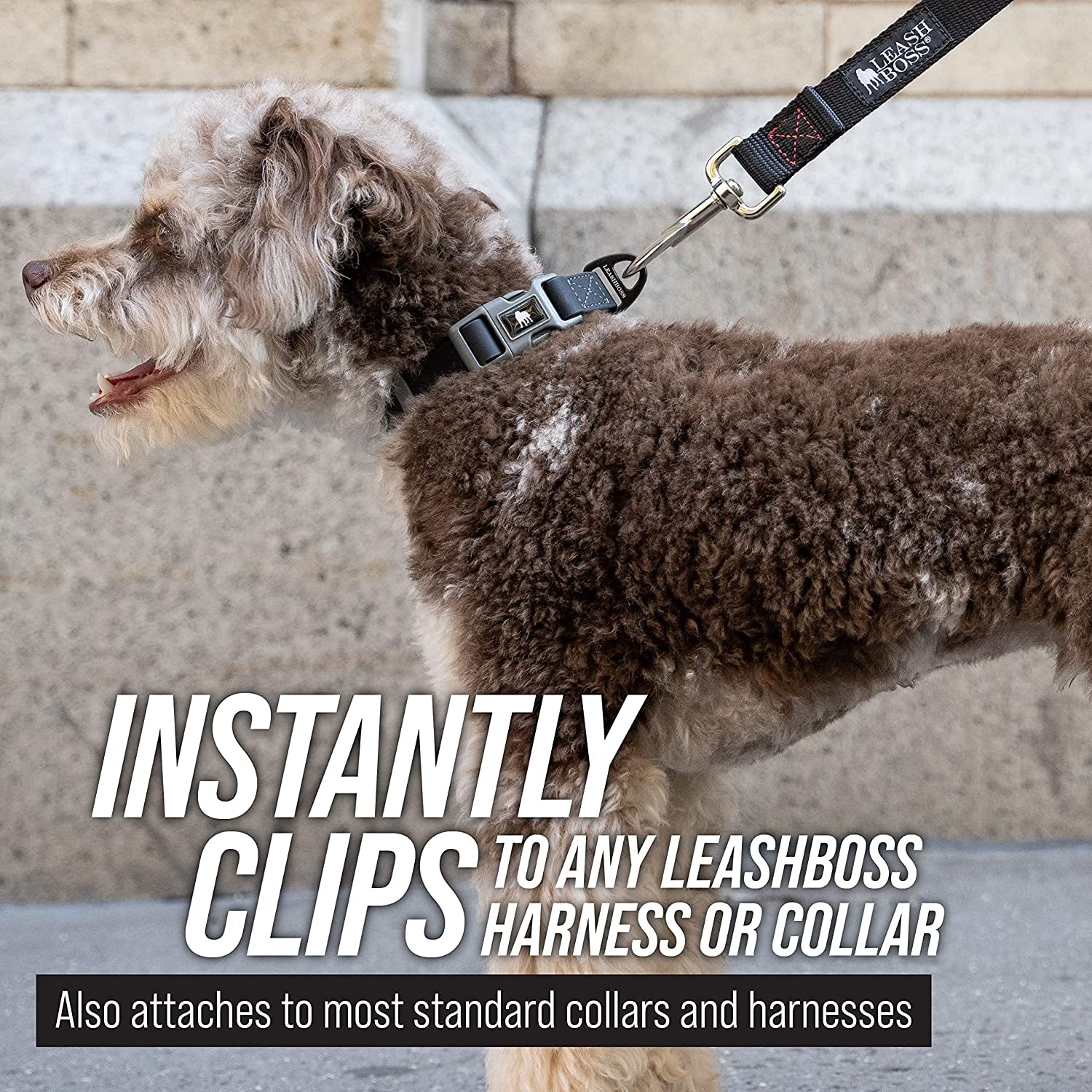 Leash Boss Free Range - Long Dog Leash for Large Dogs + Drawstring Backpack - 1 Inch Nylon Training Lead with Padded Handle (Black) (30 Ft)