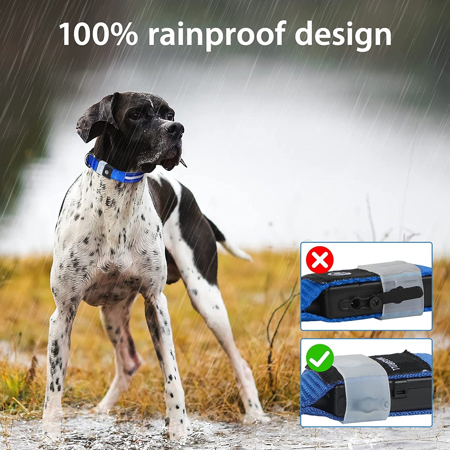MASBRILL Led Dog Collar - Rechargeable, Water-Resistant, Flashing, Glowing, Night Walking Collar for Dogs - Blue, Size M (19.69*0.98Inch)