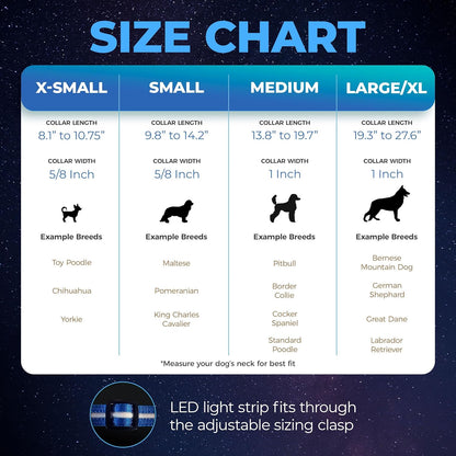 Blazin Light up Dog Collar - the Original LED Dog Collar - USB Rechargeable - Waterproof - 1,000 Feet of Visibility - Dog Collar Light for Small, Medium, Large Dogs - US Brand