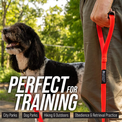 Leash Boss Free Range - Long Dog Leash for Large Dogs + Drawstring Backpack - 1 Inch Nylon Training Lead with Padded Handle (Black) (30 Ft)