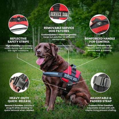 Industrial Puppy Service Dog Vest with Hook and Loop Straps & Matching Service Dog Leash Set - Harnesses from XXS to XXL - Harness Features Reflective Patch and Comfortable Mesh Design