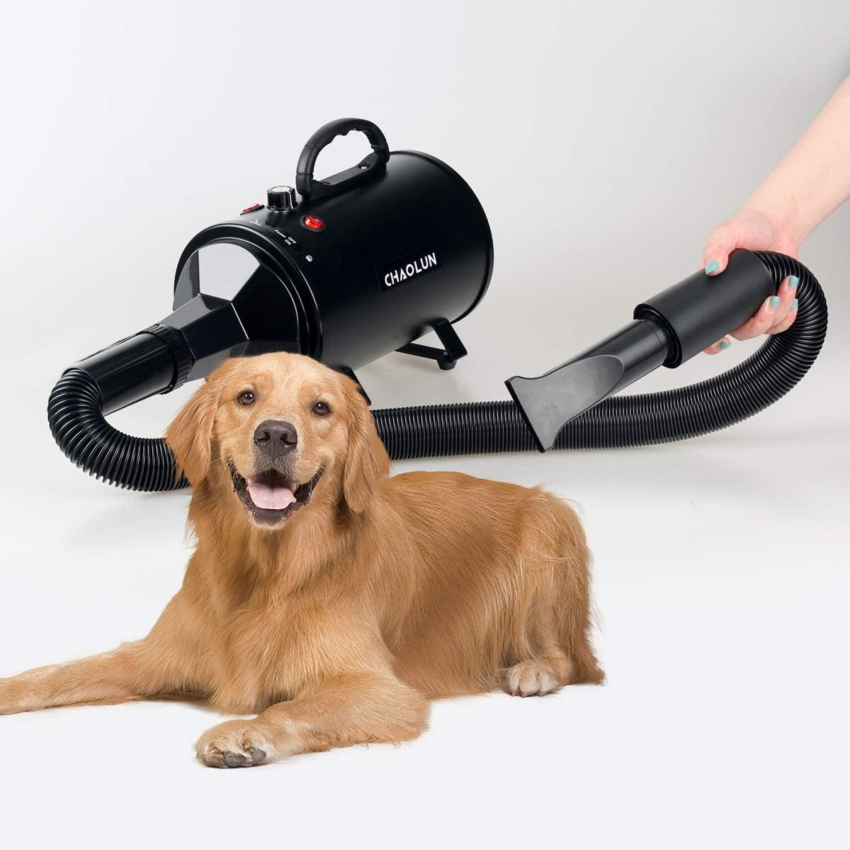 High Velocity Dog Grooming Dryer, Dog Blow Dryer, Pet Hair Dryer with Heater, Adjustable Speed, Black
