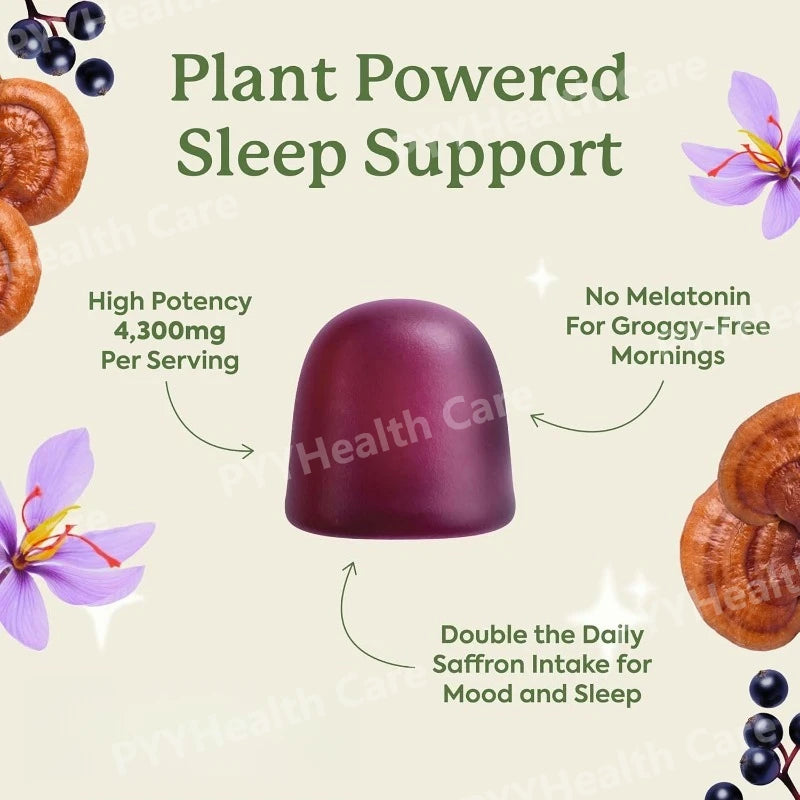 Wondersleep Mushroom Gummies Supplement for Sleep, No Melatonin with Reishi Super Mushrooms (60 Count)