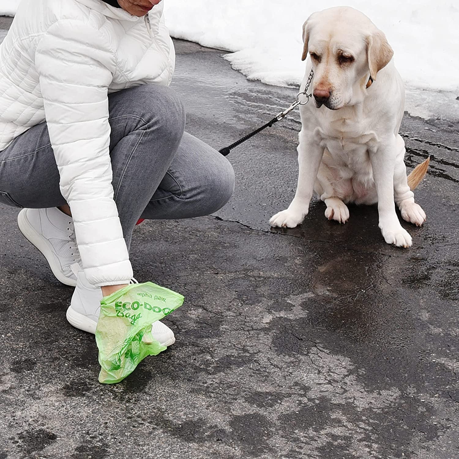 Alpha Paw Eco-Doggy Bags & Portable Dispenser - 60 Odor-Blocking, Biodegradable Poop Bags for Dogs - Scented Dog Poop Bags - Lavender-Scented Poop Bags - Compostable Dog Waste Bags - Puppy Accessories