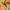 c815fcc5ed8a8da93de8ff65aaccd7be