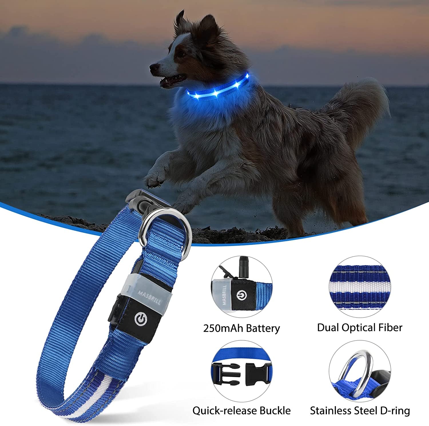 MASBRILL Led Dog Collar - Rechargeable, Water-Resistant, Flashing, Glowing, Night Walking Collar for Dogs - Blue, Size M (19.69*0.98Inch)