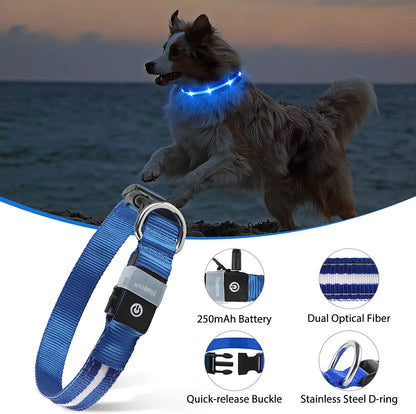 MASBRILL Led Dog Collar - Rechargeable, Water-Resistant, Flashing, Glowing, Night Walking Collar for Dogs - Blue, Size M (19.69*0.98Inch)