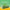 Pedigree Dentastix Small & Medium Dental Dog Treats, Variety, 157 Count