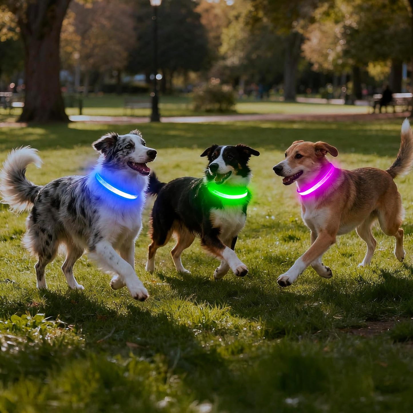 Vizpet LED Dog Collar, Light up Dog Collar Adjustable USB Rechargeable Super Bright Safety Light Glowing Collars for Dog(Small,Green)