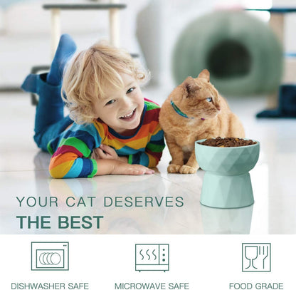 Frewinky Cat Bowls,Ceramic Cat Bowls anti Vomiting,Raised Food and Water Bowl Set for Cats and Small Dogs,13.5 Oz,Green
